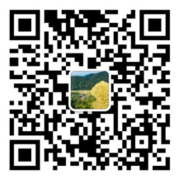 快盈IV在线网址登录